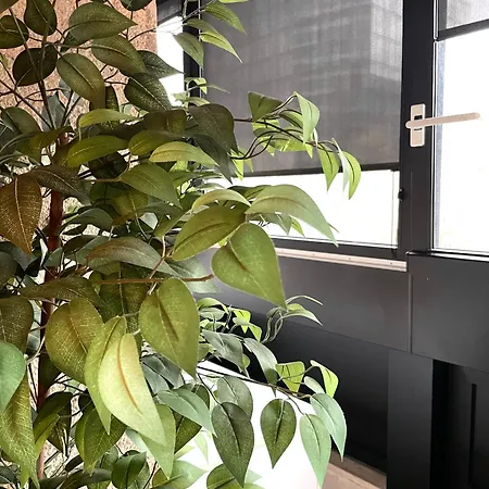Apartment Kozolec - Location