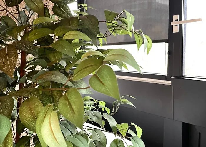 Lejlighed Kozolec - Location